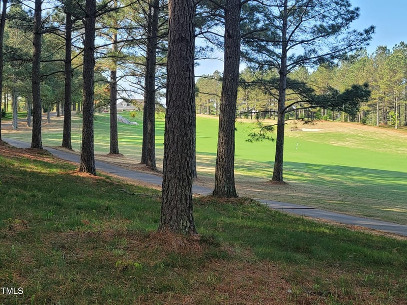33 Blackhorn Ct Lot 145E, Pittsboro, NC 27312