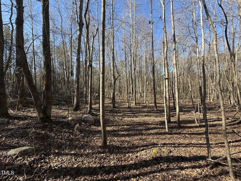 33 Henry Ct Lot 7, Chapel Hill, NC 27516