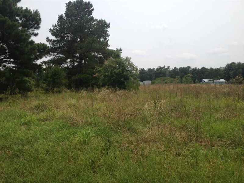 33 Marler Rd Lot 10, Benson, NC 27504