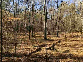 33 Masonary Ln Lot 1, New Hill, NC 27562