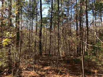 33 Masonary Ln Lot 1, New Hill, NC 27562