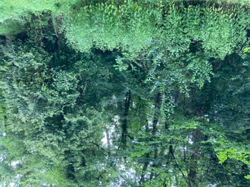 3306 Swansea St, Durham, NC 27707