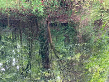 3306 Swansea St, Durham, NC 27707