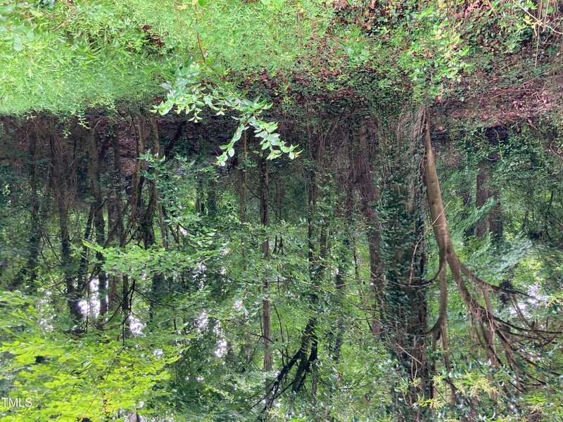 3306 Swansea St Lot 2, Durham, NC 27707
