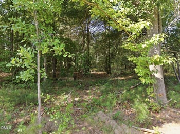 331 Meadow Walk Dr Lot 38, Fuquay Varina, NC 27526
