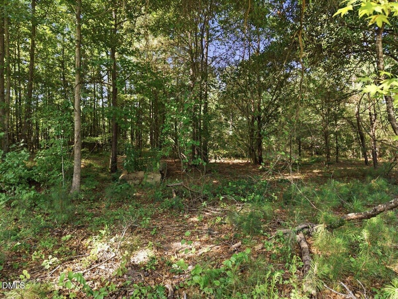 331 Meadow Walk Dr Lot 38, Fuquay Varina, NC 27526