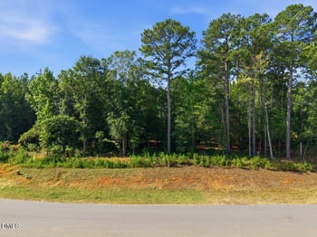 331 Meadow Walk Dr Lot 38, Fuquay Varina, NC 27526