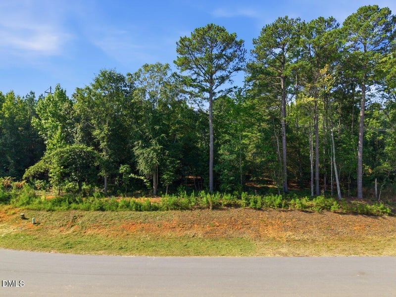 331 Meadow Walk Dr Lot 38, Fuquay Varina, NC 27526