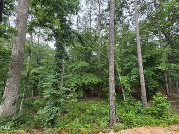 3324 Founding Pl, Raleigh, NC 27612