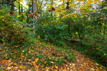 3324 Landor Rd, Raleigh, NC 27609