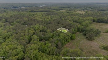 333 Cree Dr, Spring Hope, NC 27882