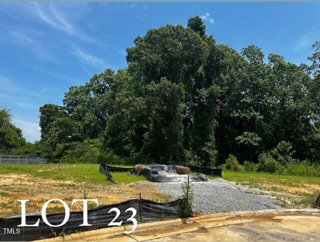 333 New Twin Branch Ct, Smithfield, NC 27577