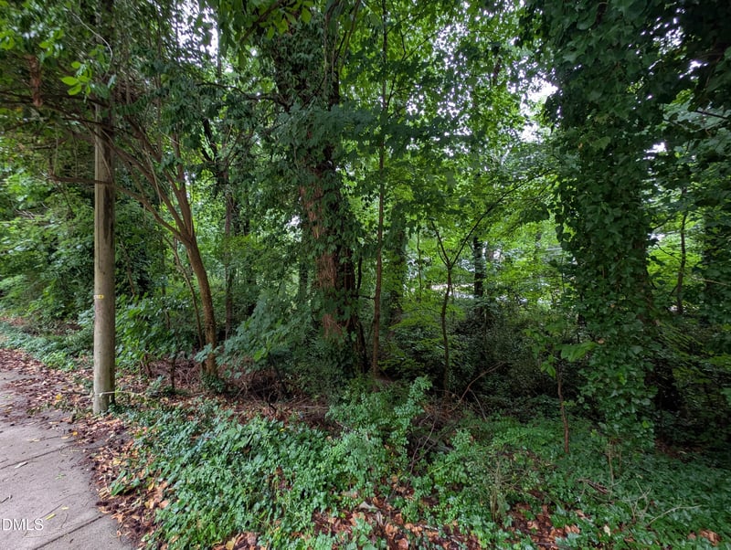 333 Willow St, Cary, NC 27511