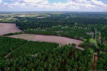 3331 Bogie Island Rd, Fayetteville, NC 28312