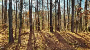 3337 Broughton Dr, Durham, NC 27704