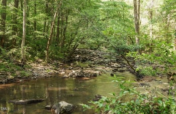 334 Blufftonwood Dr, Pittsboro, NC 27312