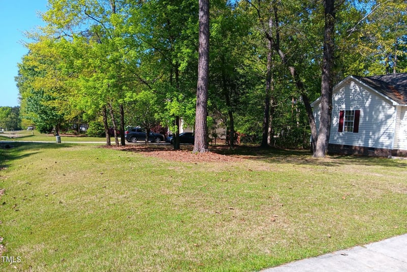 334 Cabin Grove Ct, Angier, NC 27501