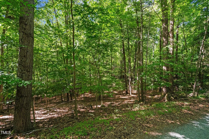 334 Eastwood Rd Lot 15R, Chapel Hill, NC 27514