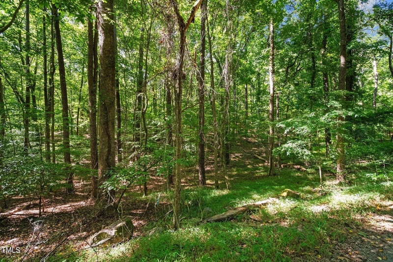 334 Eastwood Rd Lot 15R, Chapel Hill, NC 27514