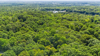 334 Eastwood Rd Lot 15R, Chapel Hill, NC 27514