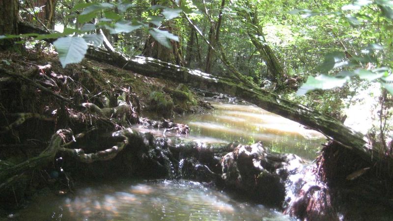 334 Valley Ln Lot 24, Pittsboro, NC 27312
