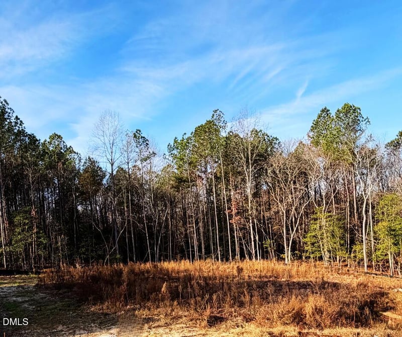 335 Little Lady Trl Lot 10, Zebulon, NC 27597