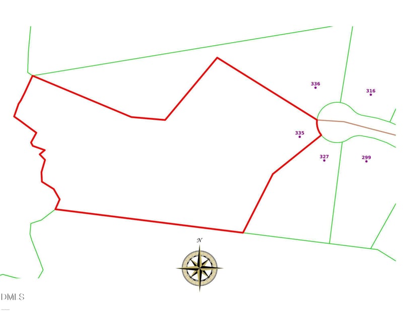 335 Little Lady Trl, Zebulon, NC 27597