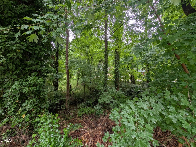 335 Willow St, Cary, NC 27511