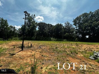 336 New Twin Branch Ct, Smithfield, NC 27577