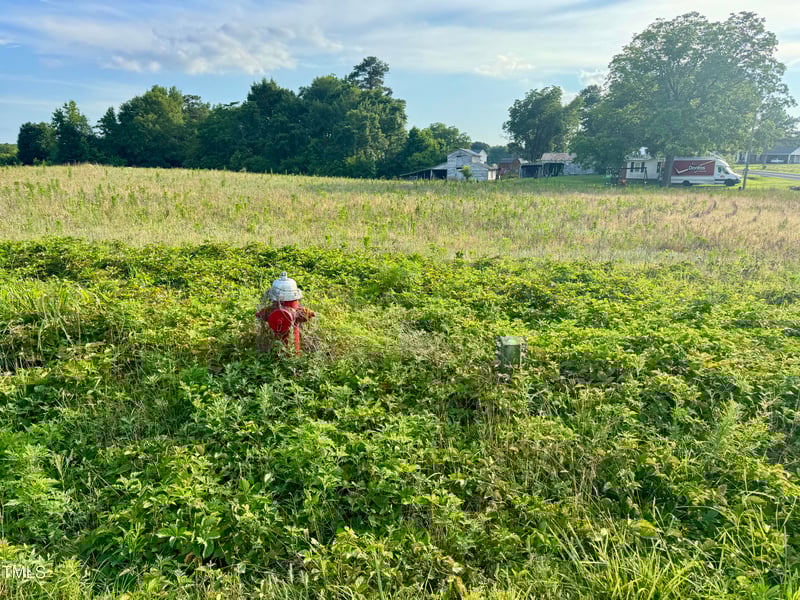 3371 Baileys Crossroads Rd, Benson, NC 27504