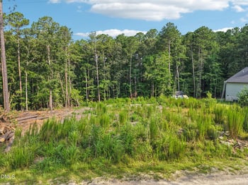 338 Natchez Tc Lot 28, Fuquay Varina, NC 27526