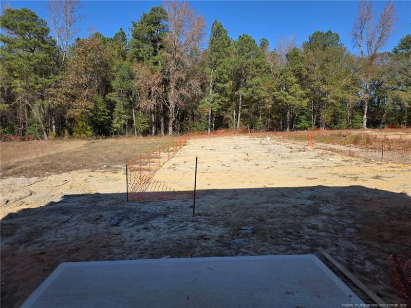 339 Hookbill Ln Lot 24, Lillington, NC 27546