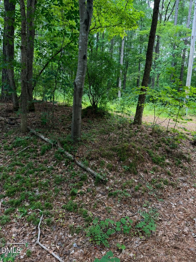 340 Damascus Church Rd Lot 7.117..18B, Chapel Hill, NC 27516