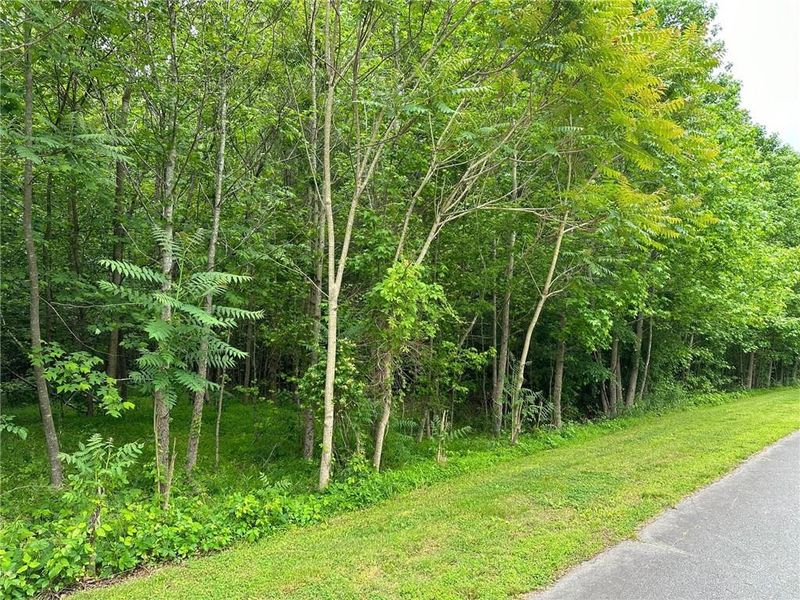 3401 Copper Trace Dr, Haw River, NC 27258