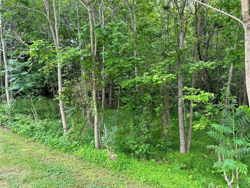 3401 Copper Trace Dr, Haw River, NC 27258