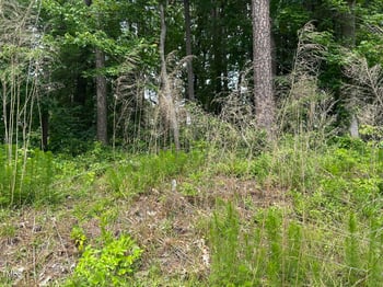 3409 Dogwood Dr, Raleigh, NC 27604