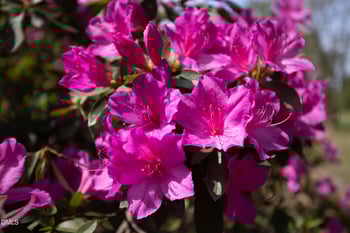 3409 Pickett Rd, Durham, NC 27705