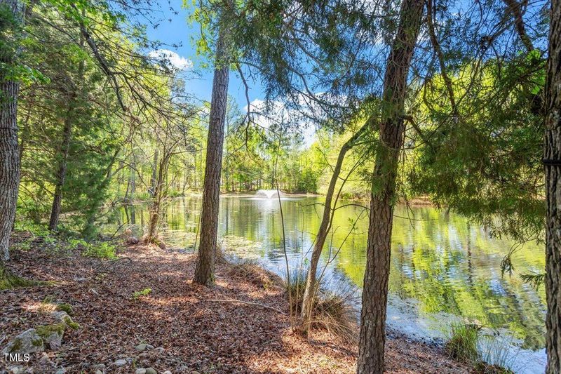 3411 Massey Pond Trl, Raleigh, NC 27616
