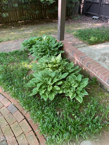 3412 Landor Rd, Raleigh, NC 27609