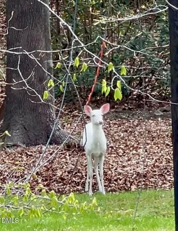 3413 Wyndham Ln, Durham, NC 27705