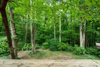 3417 Horton St, Raleigh, NC 27607