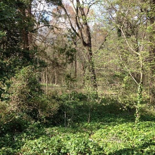 3421 Blue Ridge Rd, Raleigh, NC 27612
