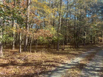 343 Rainforest Pl, Apex, NC 27523