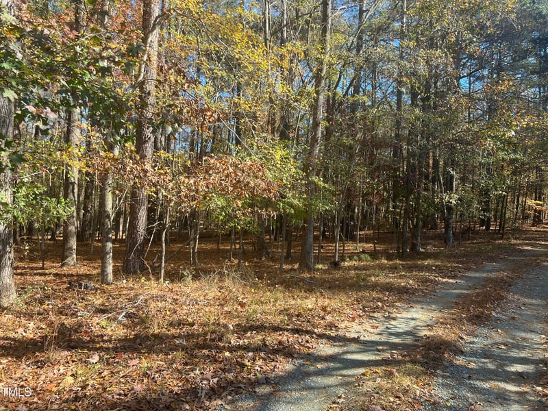 343 Rainforest Pl, Apex, NC 27523
