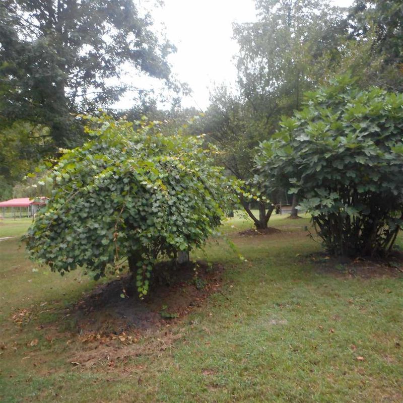 344 Turlington Dr, Benson, NC 27504