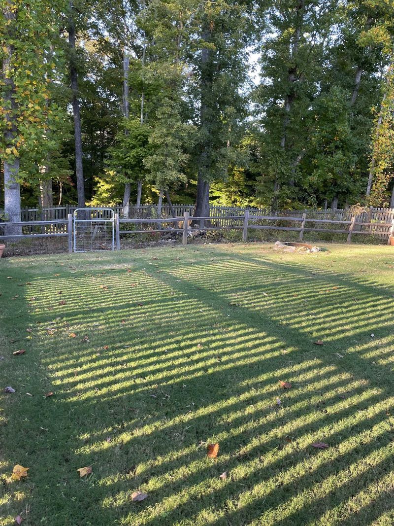 345 Chamberlain Dr, Clayton, NC 27527