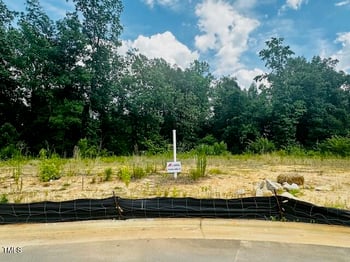 346 New Twin Branch Ct, Smithfield, NC 27577