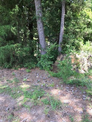 3464 Century Farm Rd, Rolesville, NC 27571