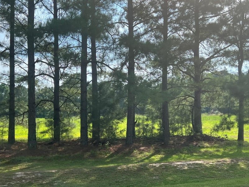3466 Matthews Mill Pond Rd, Angier, NC 27501