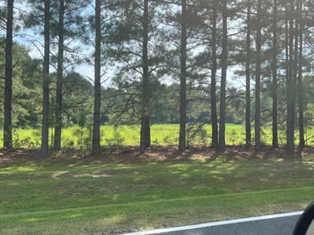 3466 Matthews Mill Pond Rd Lot 1, Angier, NC 27501